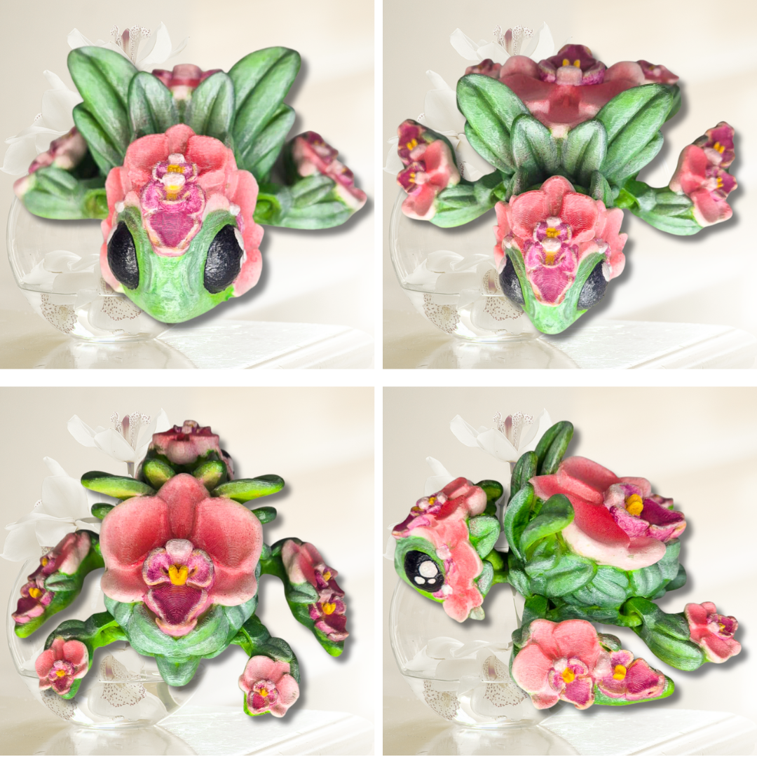 Orchid Turtle